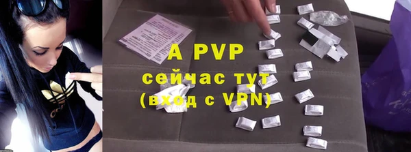 индика Бронницы