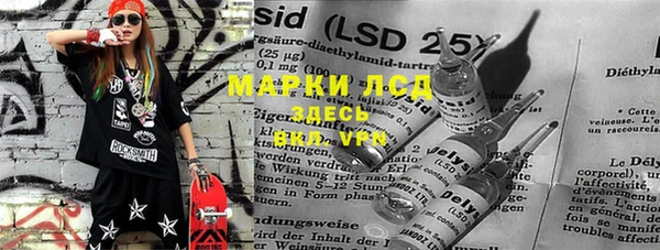 индика Бронницы