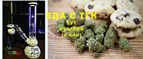 индика Бронницы