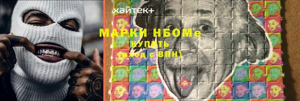 индика Бронницы