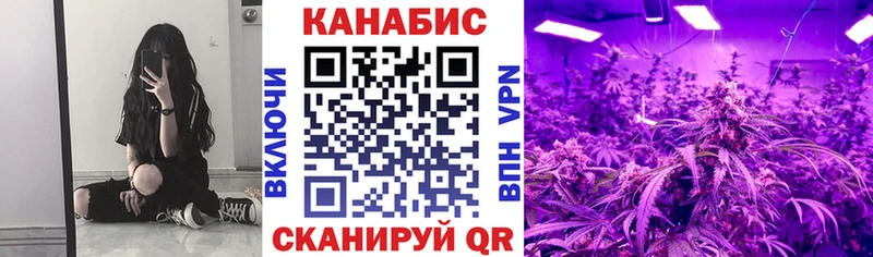 Купить где  Мглин  Бошки марихуана конопля 